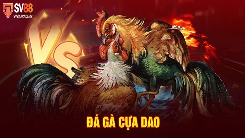 Đá gà cựa dao - Thể loại cá độ đẳng cấp tại nhà cái SV88 12 Thể thao đá gà cựa dao