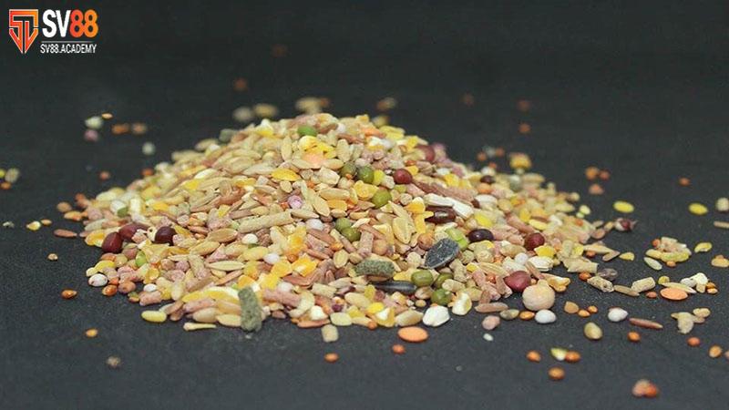 Tìm Hiểu Phương Pháp Vô Mồi Cho Gà Đá Tăng Sức Chiến Đấu 6 Lựa chọn thực phẩm tốt cho chiến kê